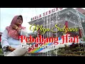 Download Lagu Terbaru 2022 || Pebabang Hati || Voc : Mega Sulyana || Cipt : L . Komar || Lagu Lampung.