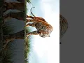 Download Lagu #junglebook #mowgli #sherekhan #baloon #bagheera #kaa #disney #disneyworld #liveaction #nostalgia
