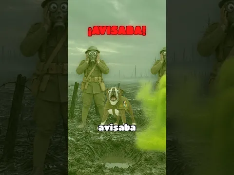 3 Animales que fueron a la Guerra! 😳