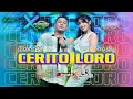 Download Lagu CERITO LORO - LARA SILVY FEAT WAHID KDI (PERMANA MUSIC FT. CAK NOPHIE)