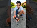 Download Lagu Two Remote Control Spider Wala Video🕷🔥