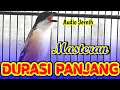 Lagu MASTERAN CENDET DURASI PANJANG AUDIO JERNIH ISIAN MEWAH