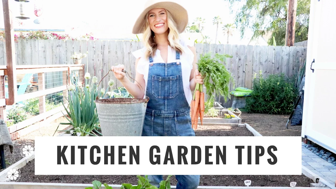 Tips To Start + Grow A Kitchen Garden   DIY, Lifestyle, Gardening   Healthy Grocery Girl YouTube