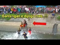 Download Lagu Bantengan Mberot Terjun Ke Sungai‼️Jaranan Mayangkoro Original Live Bangsongan