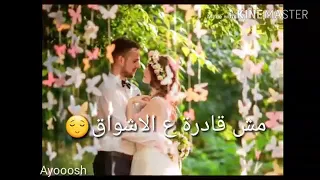 ارحم قلبي المشتاق خليني اعيش وياك   دندنها