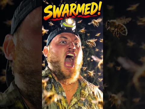 We Caught the Python… Then the Bees Attacked