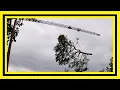 Download Lagu GROTE BOOM VERWIJDEREN MET BOUWKRAAN