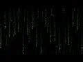 Matrix Code Rain Lost Within - A Himitsu
