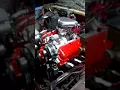 366 BBC in a 85 c 10