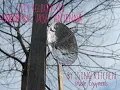 DIY 4G BOOSTER PARABOLIC DISH ANTENNA - BENT3743 EMT