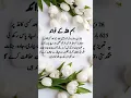 Download Lagu Bismillah k fawaid #islamicvideo #islamicwazaif