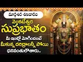 Lagu Venkateshwara Suprabhatam | Margasira Shanivaram Special | Lord Venkateswara Powerful Bhakti Songs