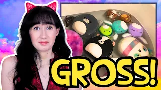 Redditor Destroys Wife s Emotional Support Squishmallows and I am MAD