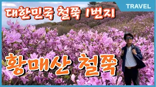대한민국 철쭉1번지 | 알고 가야 제대로 본다! 합천 황매산 지킴이들이 알려주는 철쭉 관람 꿀팁!전국의 사진작가들이 찾는, 이른바 최애장소 철쭉은 어디서 보는 것이 가장 이쁠까? 썸네일