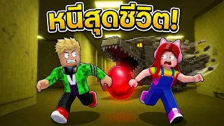 เจอรังไข่ปริศนาใน Backrooms รีบคว้าแล้วโกยสุดชีวิต! 💨🚨 Roblox Steal Backroom Eggs
