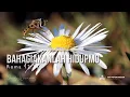 Download Lagu Bahagiakanlah Hidupmu