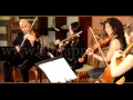ALMA PROJECT 24/7 - SC String Quartet - Wake Me Up (Avicii)