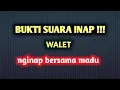 Download Lagu SUARA INAP WALET TERBUKTI AMPUH MENARIK BURUNG WALET.