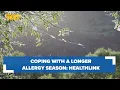 Coping with a longer allergy season HealthLink