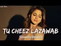 Download Lagu Tu ChEeZ LaZaWaB [slowed+reverb] || Pradeep Boora || Sapna choudhary