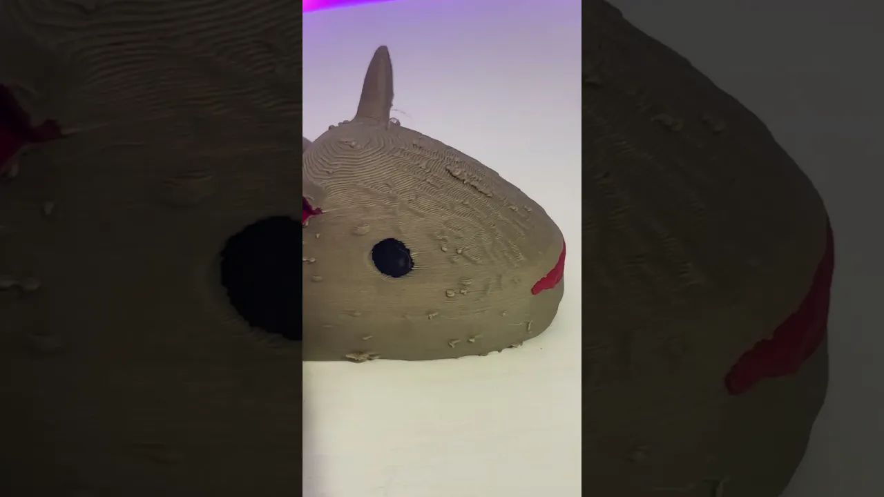 Flexi Capybara video thumbnail