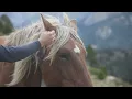 Download Lagu Stress Relief/Relaxing Music - 1 Hour of Horses in Nature/Ranch Scenery