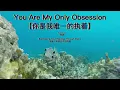Emotional Music: You Are My Only Obsession/【你是我唯一的执着】