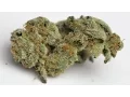 Animal Cookies - Strain Review