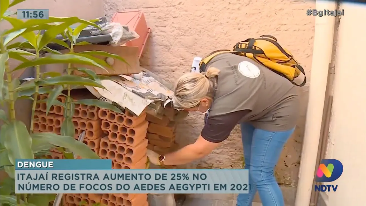 Itajaí registra aumento de 25% no número de focos de dengue em 2021