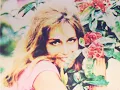 Dalida et Julio iglesias - La vie en rose