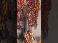 Download Lagu Jatia Baba Par Karega (Kapilasa temple dhenkanal) #Short video #odia