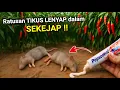 Download Lagu Ternyata cukup pakai ini‼️RUMAH BEBAS TIKUS selamanya