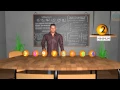 Sorting Algorithms - Chapter 2