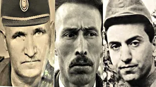 الجزائر      مترجم دندنها