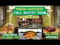Fresh Harvest FULL Buffet Tour Hard Rock ATLANTIC City FULLY Narrated Showing ALL Food Options