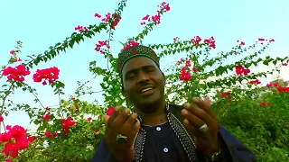 المادح محمدشكرالله مركـــــــبنا دفرالقادريه السمانيه التجانيه اشراف كركوج الابيضاب 