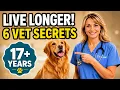 Why Most Dogs Don t Reach 17 And What You Can Change
