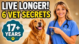 Why Most Dogs Don t Reach 17 And What You Can Change