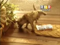 Download Lagu Reclamă Orange - 2003 octombrie - Reclame Vechi România