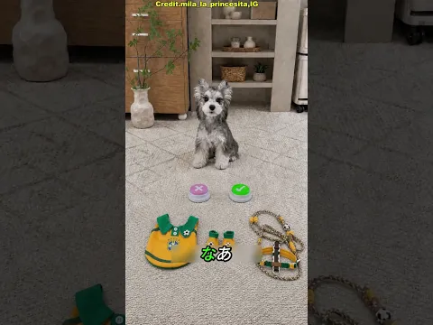 犬が選んだのはポルトガル代表のユニフォーム！🐶🇵🇹⚽#shorts