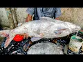 20KG Amazing Giant Rita Fish Cutting Live In Fish Market | Amazing Fish Cutting