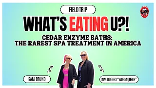 What s Eating U Field Trip Rarest Spa Treatment in America Cedar Baths At Tahoe Forest Baths