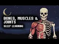 The Human Musculoskeletal System 3 Hours of Quiet Anatomy Learning