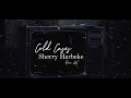 Cold Cases Sherry Harbeke Reno NV Washoe County
