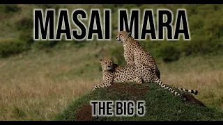 Masai Mara: Lions, Leopards, Cheetahs, & Rhinos in the Wild!