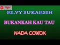 Download Lagu KARAOKE DANGDUT BUKANKAN KAU TAU - ELVY SUKAESIH (COVER) NADA COWOK