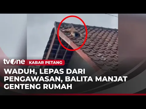 Diluar Nalar, Balita di Lombok Tersangkut di Atap Rumah