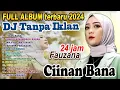 Lagu FAUZANA Remix DJ Slow Disco TANPA IKLAN ALBUM TERBARU 2025    CIINAN BANA