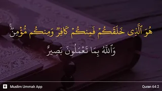 سوره تغابن  آیه ۲ دندنها