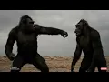 Download Lagu Life 7.4 Million Years Ago | When Humanity Was Just Beginning